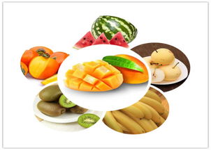 中醫(yī)養(yǎng)生保健 守護(hù)健康，傳承智慧